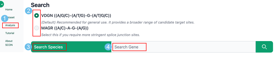 Direct Search Strategy