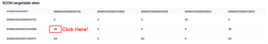 SCON Targetable Sites and Exon Info Preview